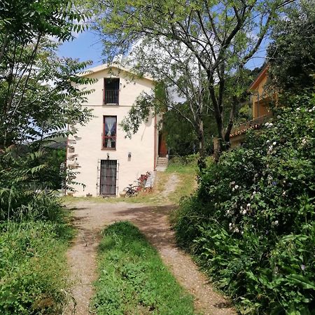 Ferula Romantica Mansarda Tra Fiumi E Montagne Sardegna Seulo Luaran gambar