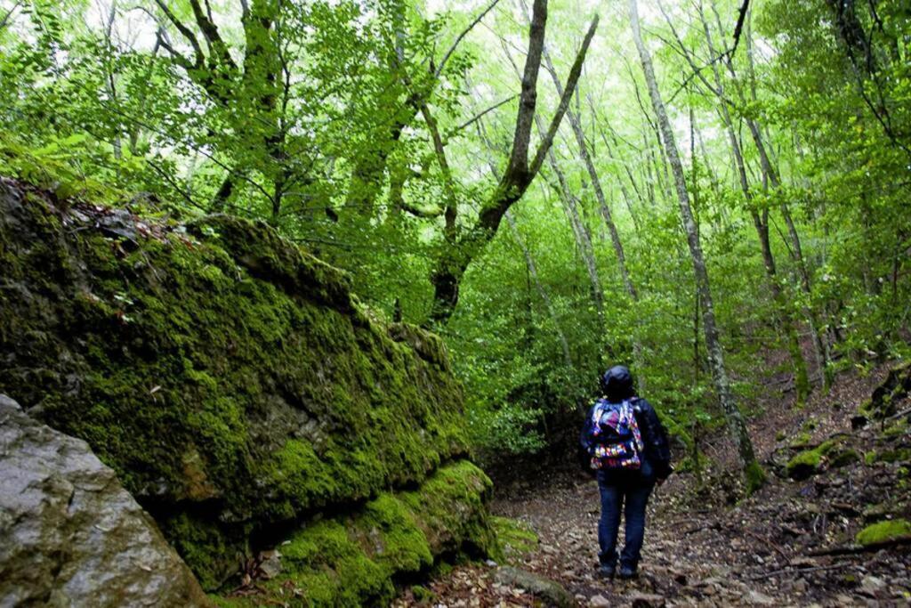 Ferula Romantica Mansarda Tra Fiumi E Montagne Sardegna Seulo Luaran gambar